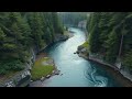 Tranquilty sounds . 🎍Forest & river ,🐦 birds & water. Short break 💆