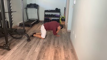 Quadruped trunk rotation