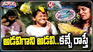 Annaram Ecological Parkkacche Raaste, A Haven For Diverse Animals And Birds V6 Teenmaar