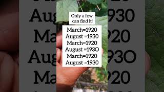 Find The Odd One Visual Logic Challenge Ep.2697