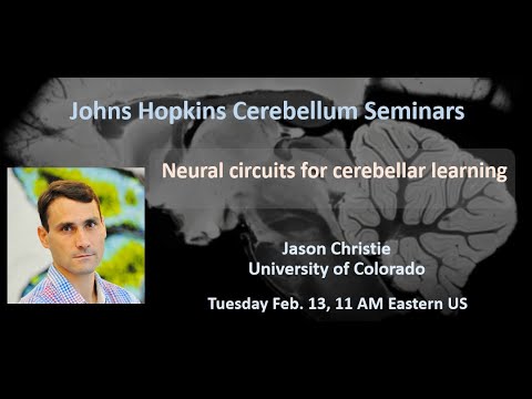 Jason Christie: Neural circuits for cerebellar learning