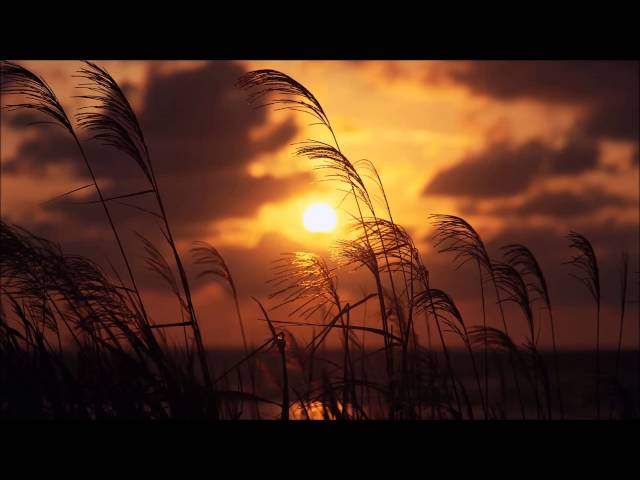 김현식 - 넋두리