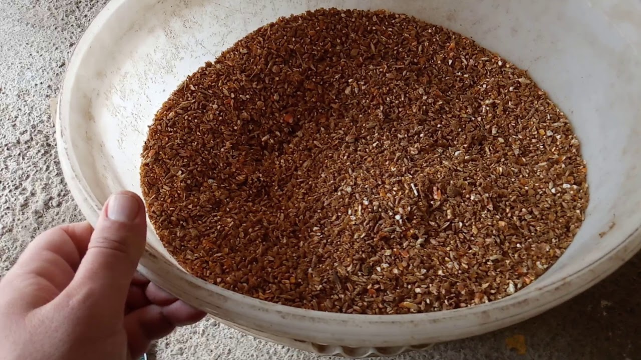 Qurd xesteliyine son!!!!