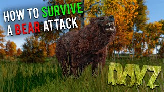 How To Survive A BEAR ATTACK In DayZ