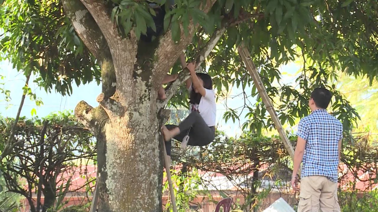 Khi Hạc cho Cừu leo cây - KNTT tập 383 mcveigh