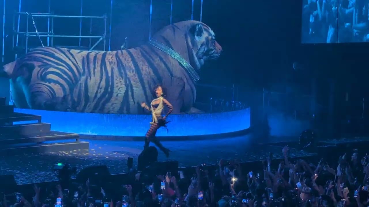 Water - Tyla (with Cape Town Crowd) Live at Grand Casino Arena 05 Dec 2024