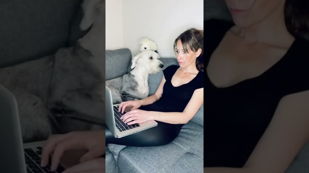 Adorable dog is trying to get mom's attention while she's working!
