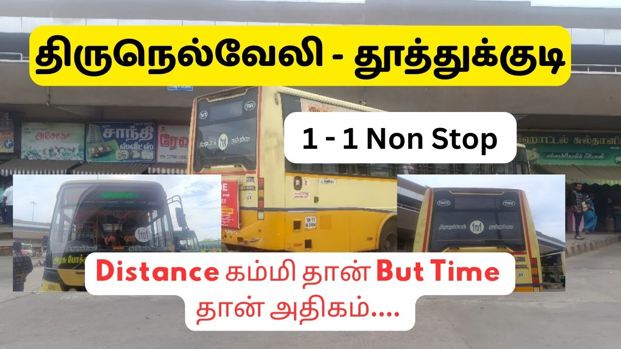 Tirunelveli - Tuticorin 1-1 Non Stop Tnstc Bus | Pearlcity |Macaroon | 