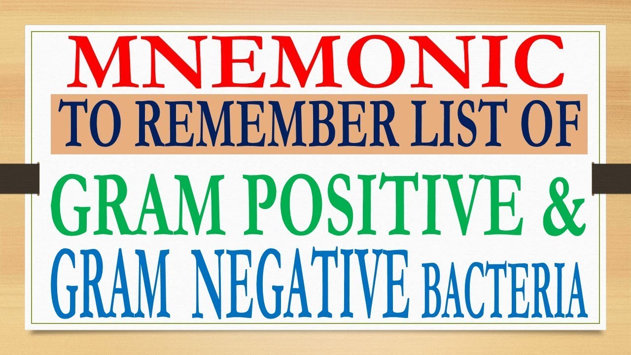 Gram Positive Antibiotics Chart