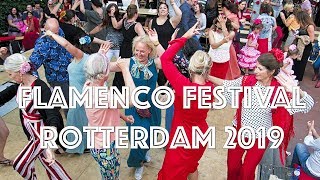 Download Lagu Flamenco Festival Rotterdam 2019 MP3