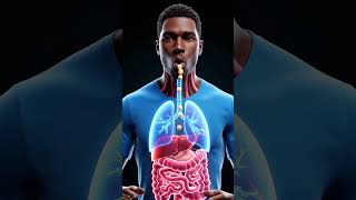 “The Shocking Truth Inside Your Burger 🍔 | What Really Happens After You Eat It!”