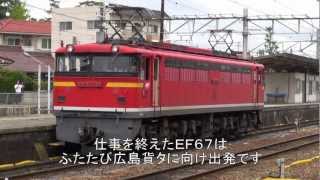 セノハチ　峠のシェルパ　ＥＦ６７