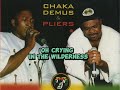 Chaka Demus and Pliers - Help Them Lord (lyrics)