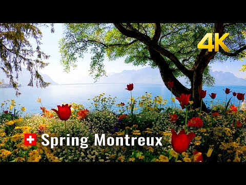 Montreux Spring Walk, most beautiful promenade walk in Switzerland, Montreux Switzerland 4K