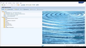 Material Ledger in S/4 HANA