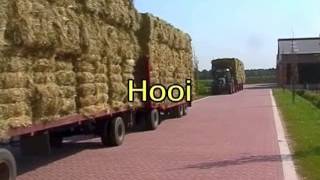 Gras En Hooi Bij Bief Select