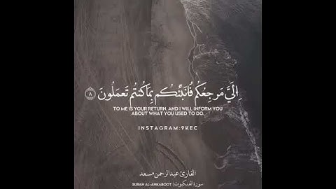 ووصينا الإنسان بوالديه حسنا القارئ عبدالرحمن مسعد