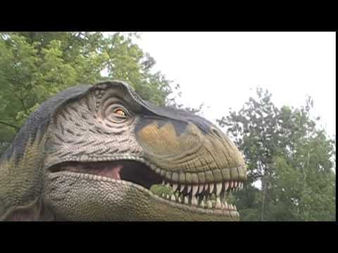 Reptile Land Near Williamsport PA - Part IX - YouTube