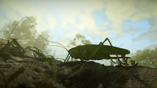 Insect Worlds | Demo | Early Access | GamePlay PC