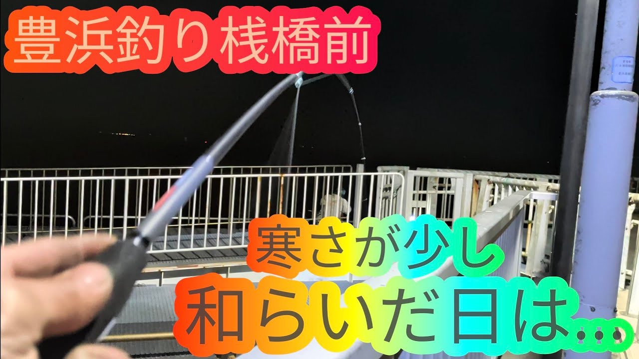 寒波が少し緩んだ日の豊浜釣り桟橋は…愛知県 知多半島 南知多 海釣り 100均 ダイソー fishing 根魚 カサゴ