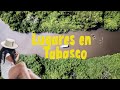 Video de Tabasco