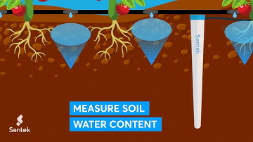 Measure drip irrigation using a soil moisture probe