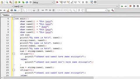 C Programming - 28 - Password Style