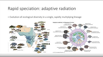 Old genetic variation: key to rapid adaptation and speciation? - David Marques