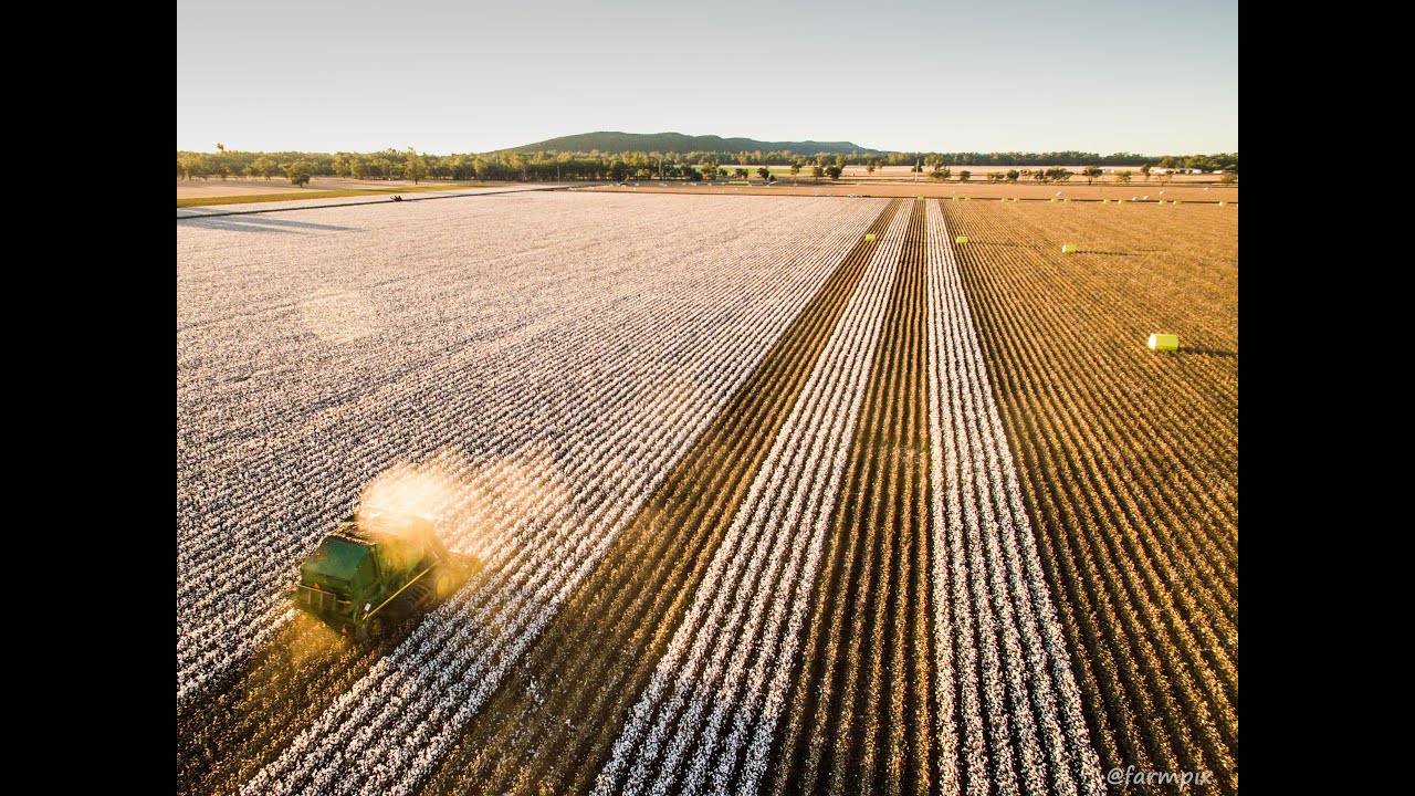 Cotton Harvest Riversleigh Forbes Australia 2016 YouTube