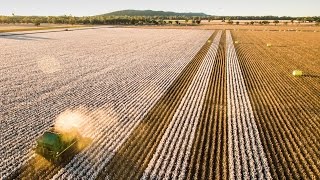 Information Cotton Harvest Riversleigh Forbes Australia 2016 Update