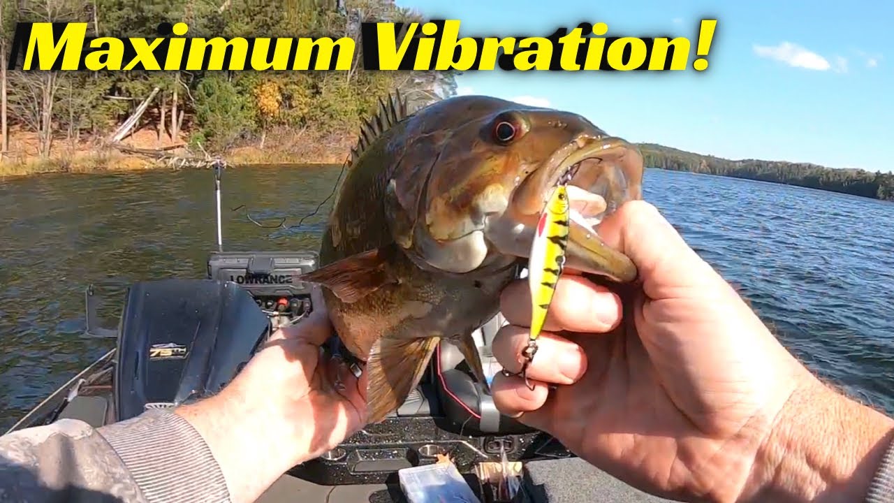 This Bait Has Maximum Vibration! 