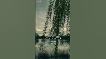سورة الكافرون || القارئ محمد اللحيدان