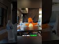 🎒 The BEST Portable Folding Table for Camping & Van Life