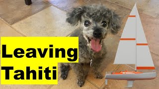 Flying a DOG out of TAHITI, Leaving the Sailboat on the Hard, Visiting Teapoo Surf Break S2E23
