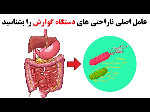 تصویری: تعریف کوتاه باکتری چیست؟