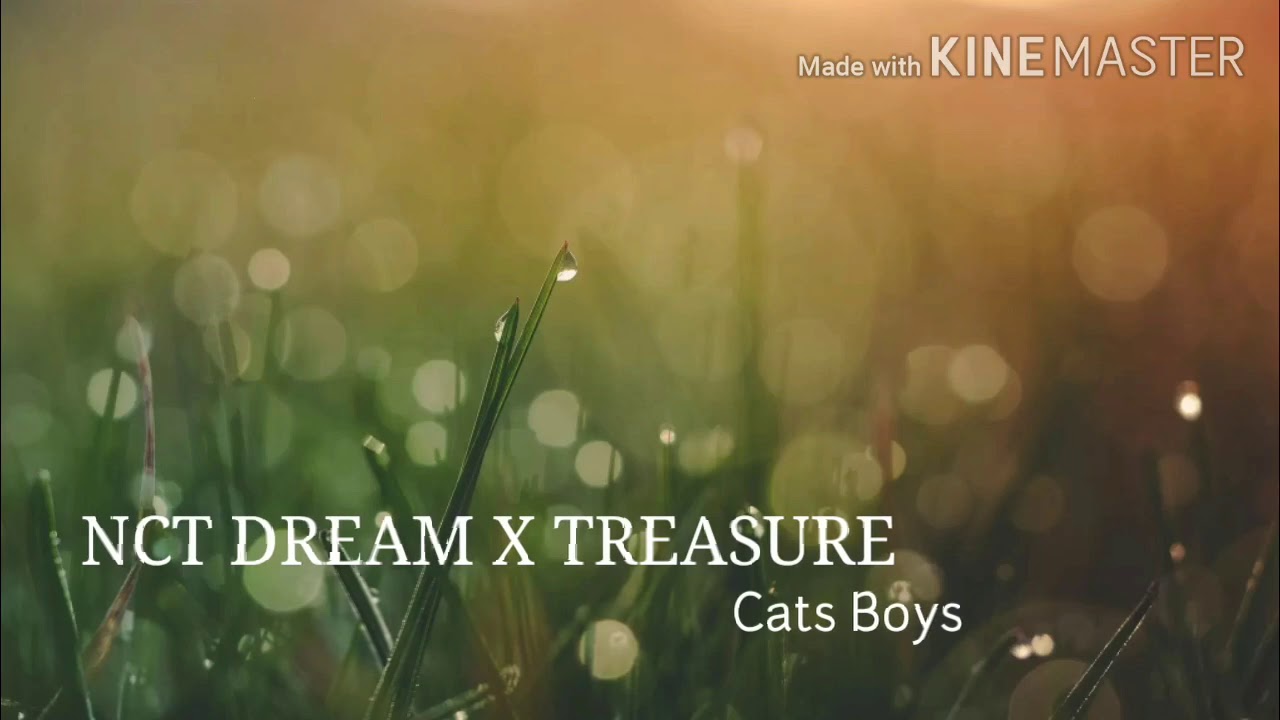 FF Nct Dream X Treasure 