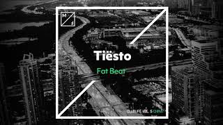 Tiësto - Fat Beat  Resimi
