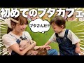 ミニぎしと初めてにブタカフェに行ったら初対面なのに反応が意外すぎた