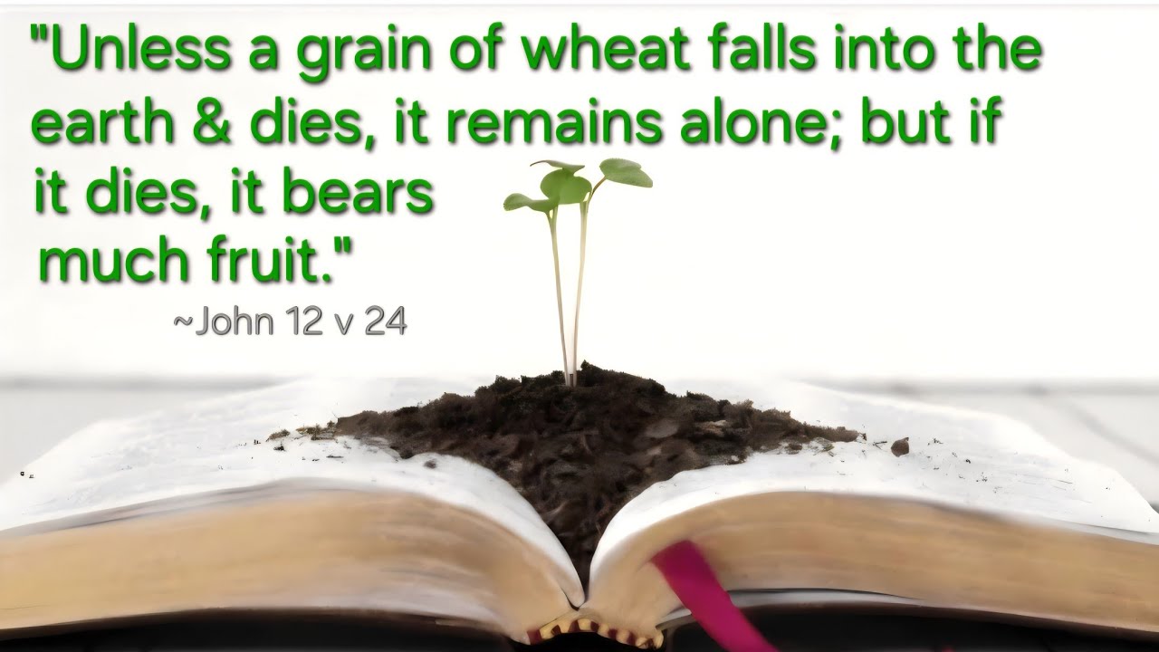 #125c².Faith&Belief vs DisBelief&Faith-less'ness,ie Doubt&UnBelief?WOE 2u-Chorazinites,u-Doubt'Full