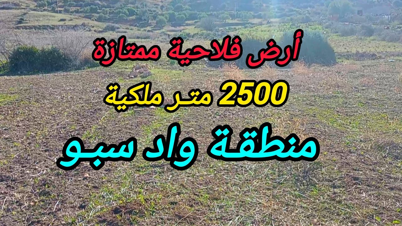 2026-1-10 : أرض ملكية 2500 متر ، أرض ممتازة ، منطقة واد سبو بثمن 3 مليون ونصف . الهاتف ☎️ 0652902061