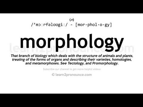 Pronunciation of Morphology | Definition of Morphology