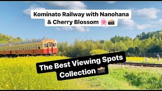 Kominato Railway - 春の小湊鉄道鉄道 ( The best spots for Photography with Nanohana & Sakura ) #japan #travel