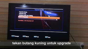 UPDATE CHANEL SKYBOX DAN CLINE