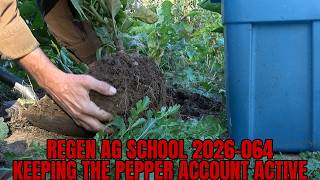 Regen Ag School 2026 064 | Keeping The Pepper Account Active