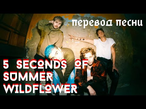 5 Seconds of summer - wildflower (перевод)