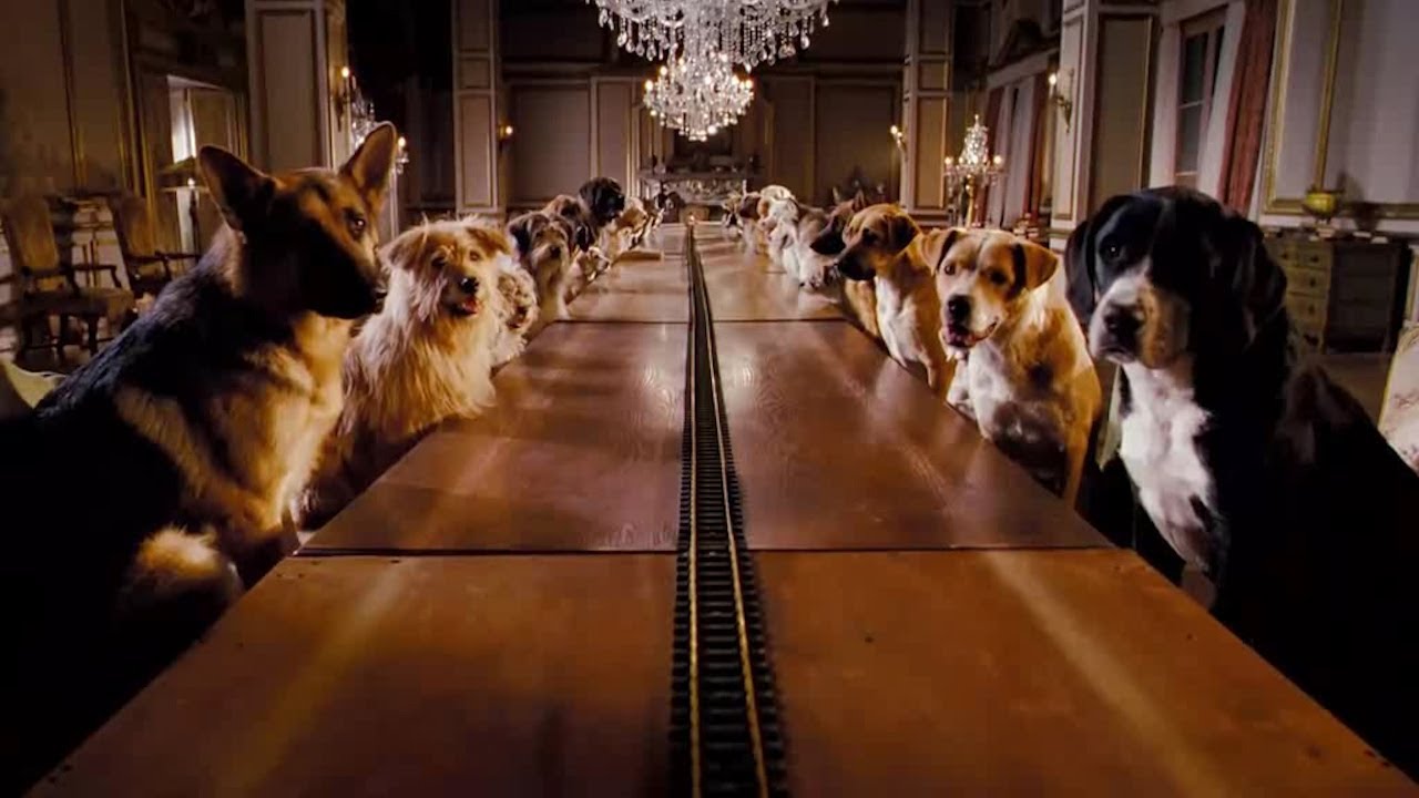 小孩把废弃楼房改造成“狗狗旅馆”娱乐设施，自动喂食机，一应俱全