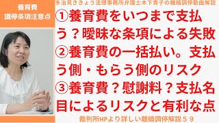 裁判所HPより詳しい離婚調停解説59!第59回目は、57、58回目に引き続き、離婚調停成立時の注意点、養育費について調停調書の調停条項に記載すべきこと・注意点について解説しています