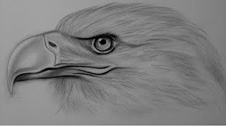 Kartal Nasıl Çizilir Kuş Resmi Çizimi - How To Draw An Eagle Drawing A Bird Picture