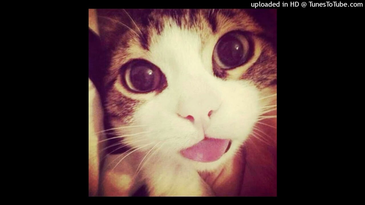 [free] xaviersobased x jerk type beat - "afghan pack"