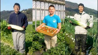 ＪＡ グループ兵庫「農家のスゴ技、教えます」